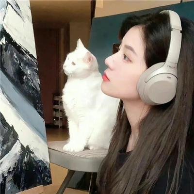 大师的头脑