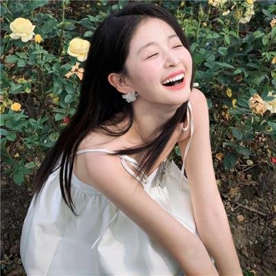 寻芳浪蝶